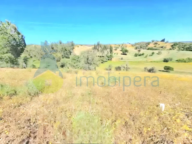 Terreno Agricola ou Rústico para Venda em São Bartolomeu de Messines Foto 5