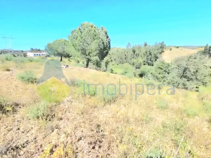 Terreno Agricola ou Rústico para Venda em São Bartolomeu de Messines Foto 7