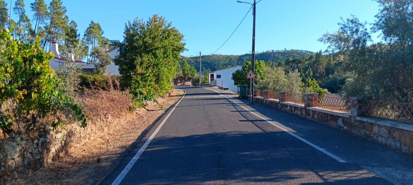 Terreno Agricola ou Rústico para Arrendamento em Mação, Penhascoso e Aboboreira Foto 12