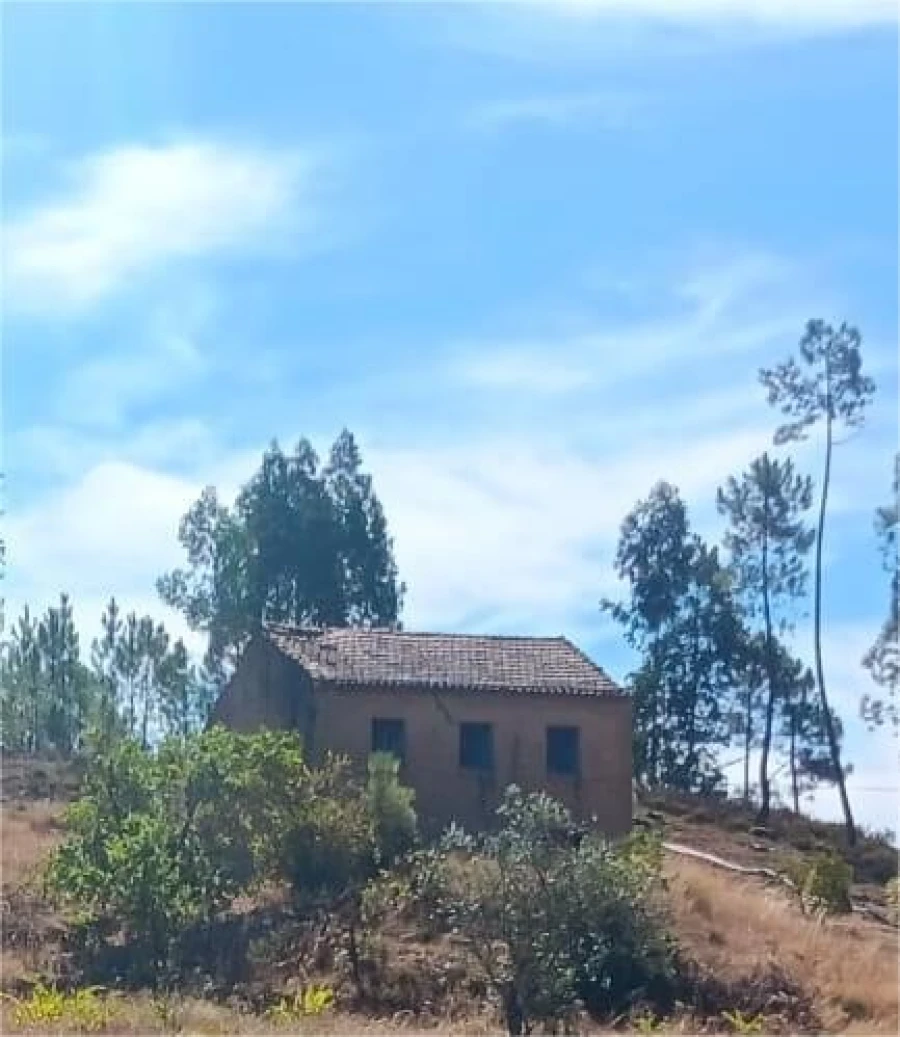 Terreno Agricola ou Rústico para Arrendamento em Mação, Penhascoso e Aboboreira Foto 2