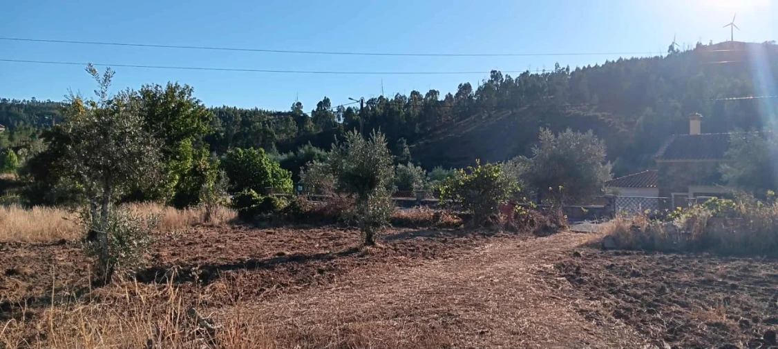 Terreno Agricola ou Rústico para Arrendamento em Mação, Penhascoso e Aboboreira Foto 9