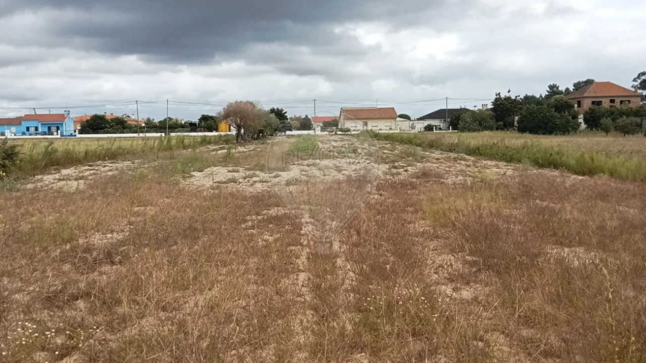 Terreno para Venda em Glória do Ribatejo e Granho Foto 8