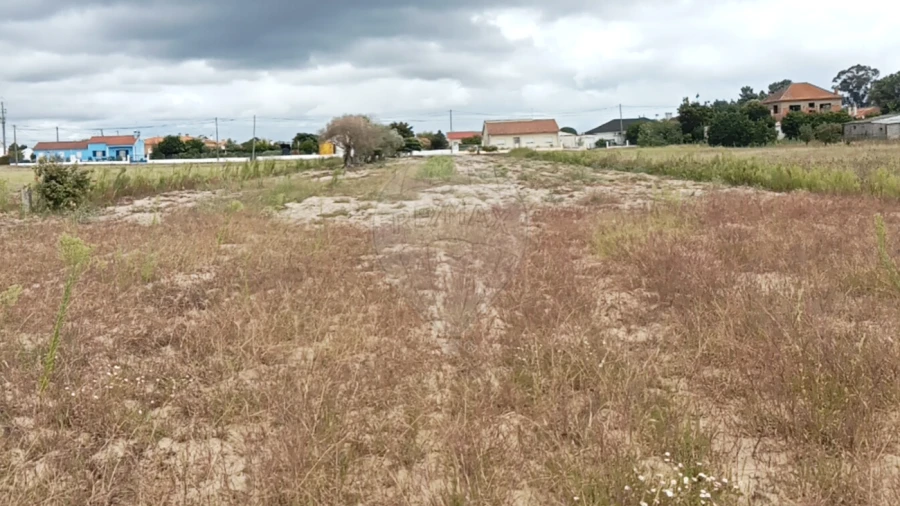 Terreno para Venda em Glória do Ribatejo e Granho Foto 4