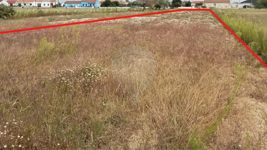Terreno para Venda em Glória do Ribatejo e Granho Foto 5