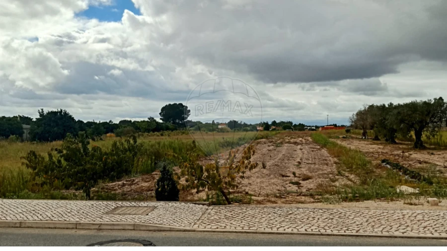 Terreno para Venda em Glória do Ribatejo e Granho Foto 1