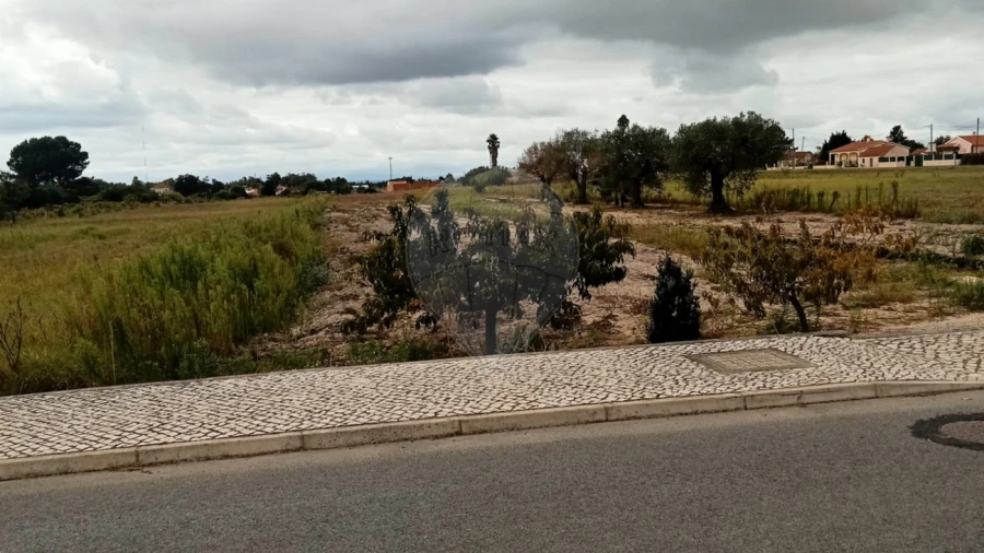 Terreno para Venda em Glória do Ribatejo e Granho Foto 2