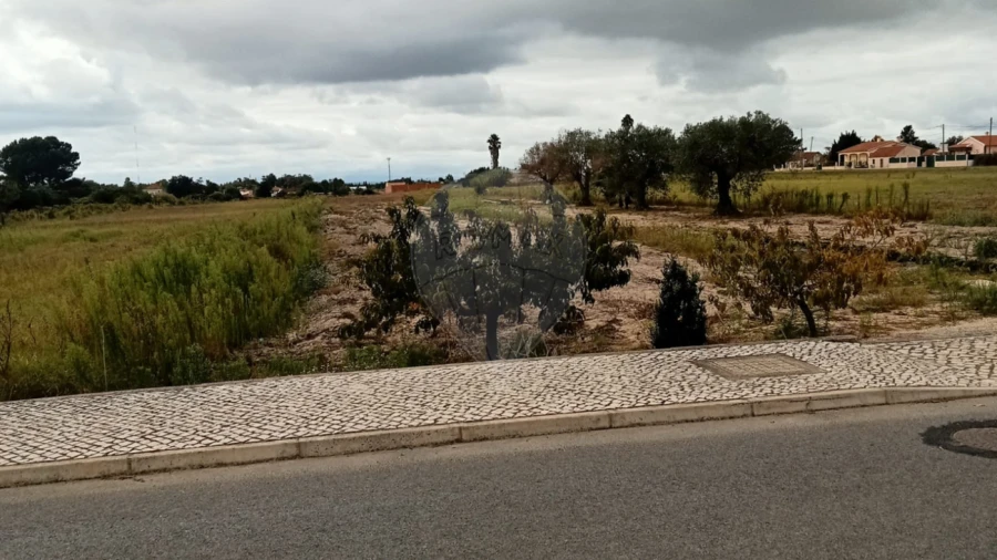 Terreno para Venda em Glória do Ribatejo e Granho Foto 3