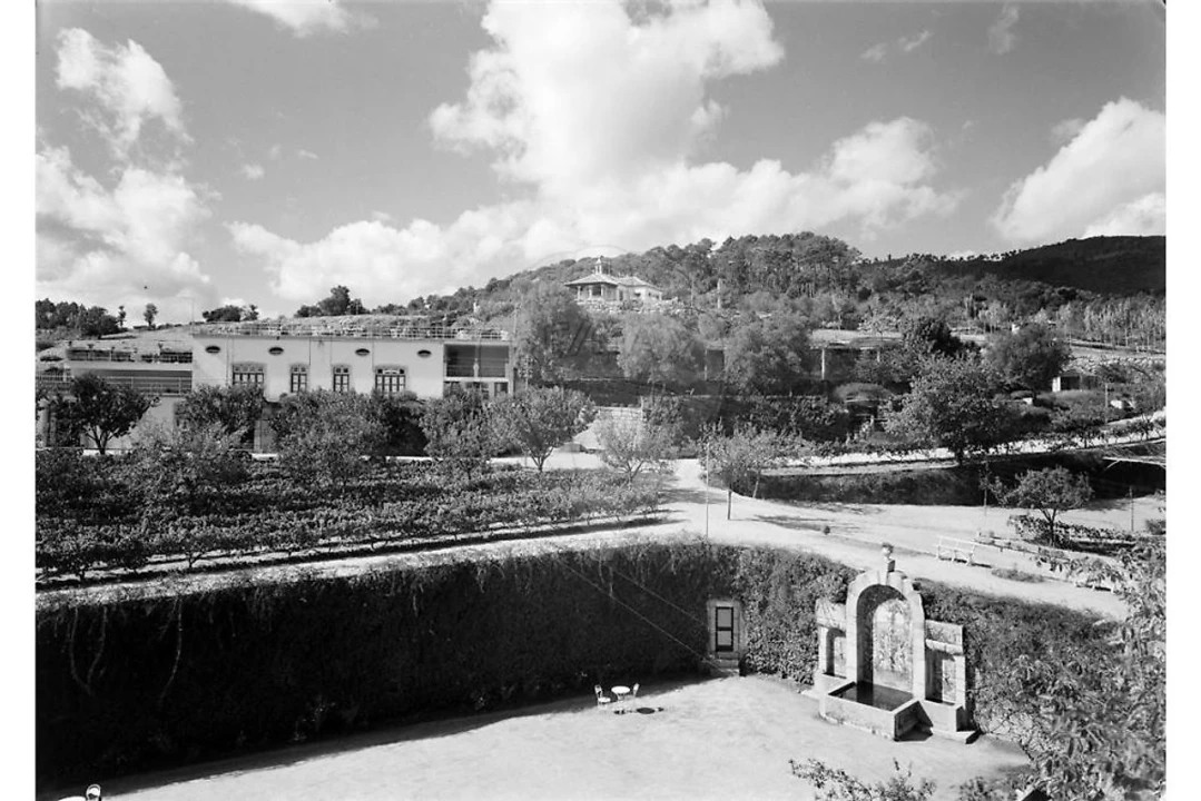 Prédio para Venda em Abrunhosa-A-Velha Foto 40