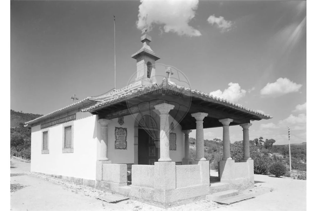 Prédio para Venda em Abrunhosa-A-Velha Foto 43