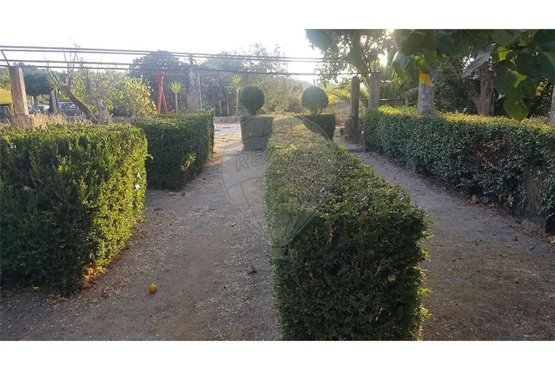 Prédio para Venda em Abrunhosa-A-Velha Foto 26