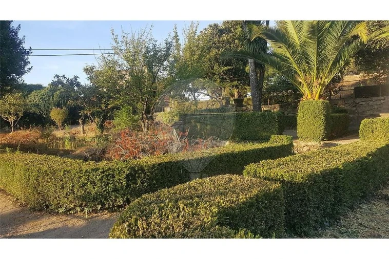 Prédio para Venda em Abrunhosa-A-Velha Foto 27