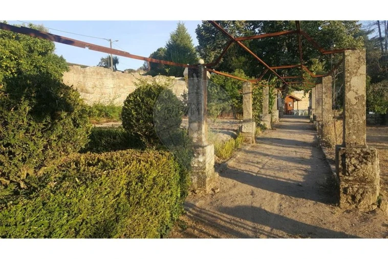 Prédio para Venda em Abrunhosa-A-Velha Foto 28