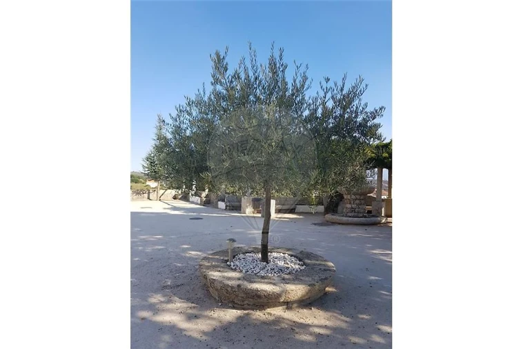 Prédio para Venda em Abrunhosa-A-Velha Foto 21