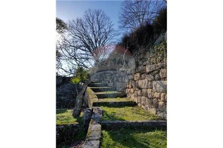 Prédio para Venda em Abrunhosa-A-Velha Foto 38