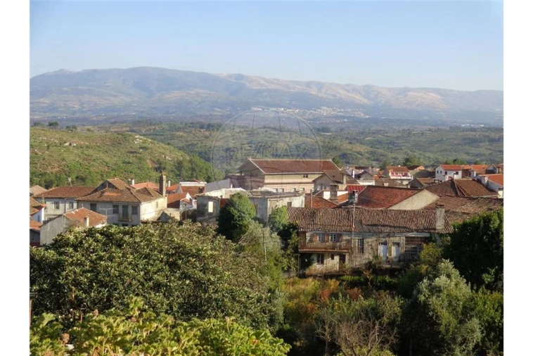 Prédio para Venda em Abrunhosa-A-Velha Foto 12