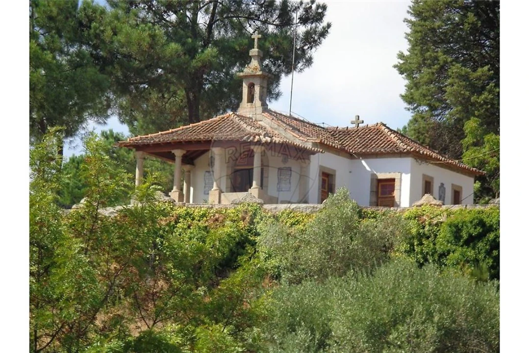 Prédio para Venda em Abrunhosa-A-Velha Foto 32