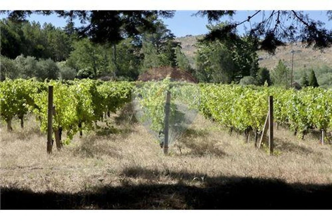 Prédio para Venda em Abrunhosa-A-Velha Foto 35