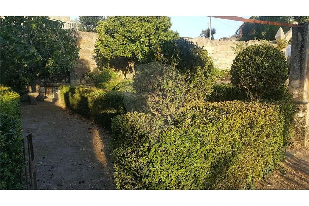 Prédio para Venda em Abrunhosa-A-Velha Foto 29