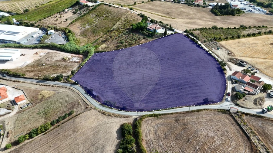 Terreno para Venda em Arruda dos Vinhos