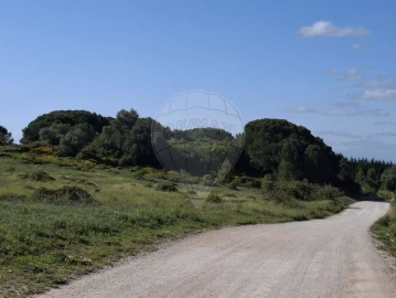 Terreno para Venda em Sesimbra (Castelo)