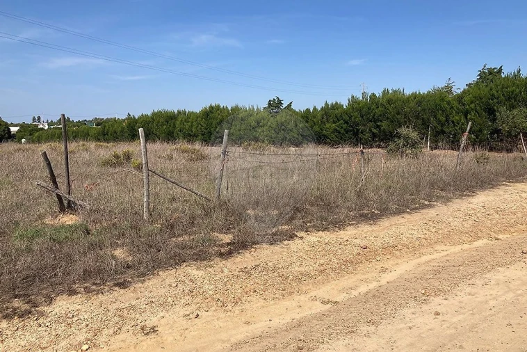 Terreno para Venda em Porto Covo Foto 2