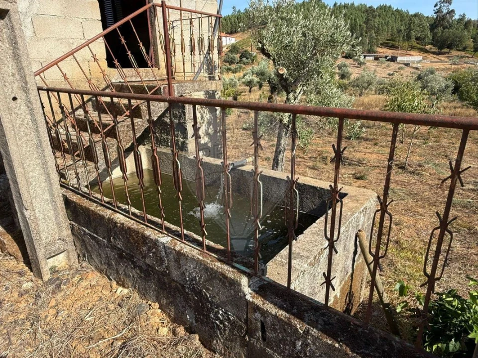 Terreno para Venda em Janeiro de Cima e Bogas de Baixo Foto 18