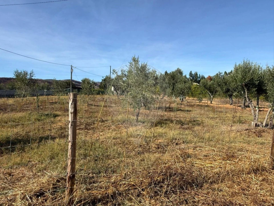 Terreno para Venda em Janeiro de Cima e Bogas de Baixo Foto 17