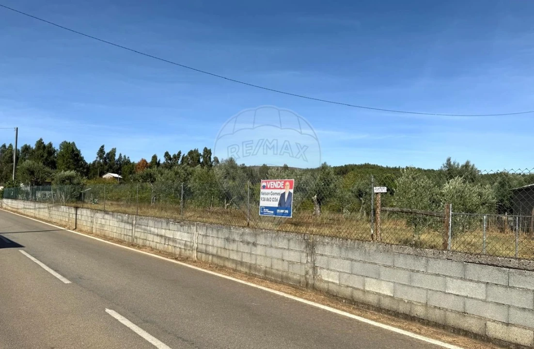 Terreno para Venda em Janeiro de Cima e Bogas de Baixo Foto 2