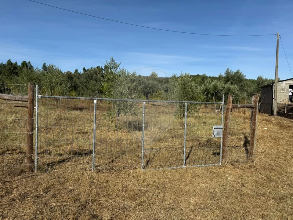 Terreno para Venda em Janeiro de Cima e Bogas de Baixo Foto 4
