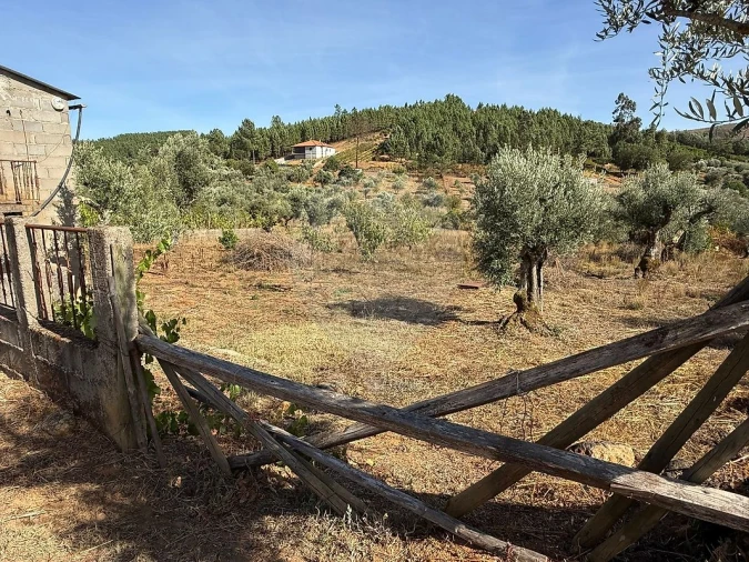 Terreno para Venda em Janeiro de Cima e Bogas de Baixo Foto 6