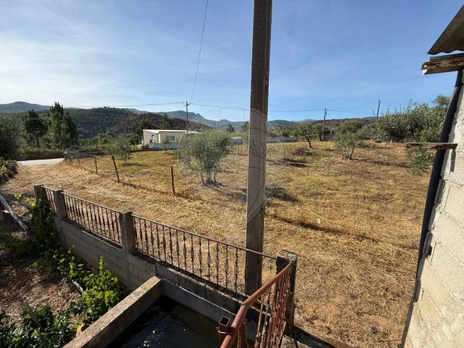 Terreno para Venda em Janeiro de Cima e Bogas de Baixo Foto 12