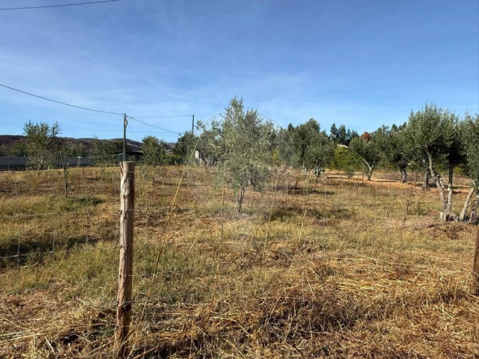 Terreno para Venda em Janeiro de Cima e Bogas de Baixo Foto 17