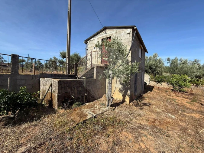 Terreno para Venda em Janeiro de Cima e Bogas de Baixo Foto 15