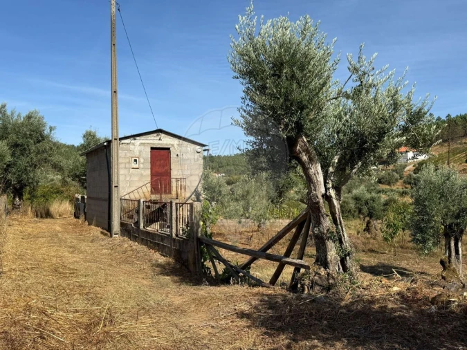 Terreno para Venda em Janeiro de Cima e Bogas de Baixo