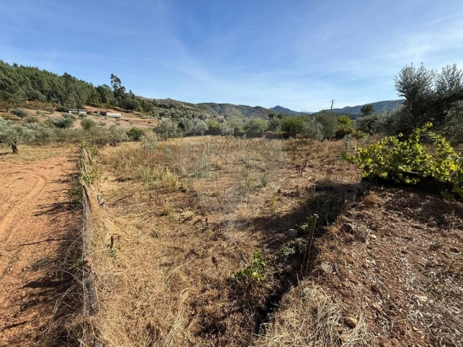 Terreno para Venda em Janeiro de Cima e Bogas de Baixo Foto 11