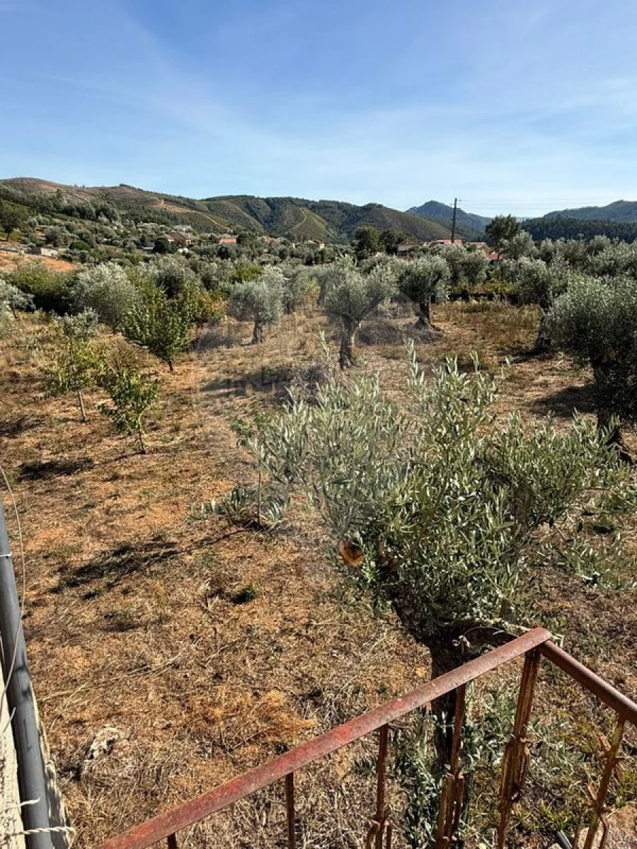 Terreno para Venda em Janeiro de Cima e Bogas de Baixo Foto 9