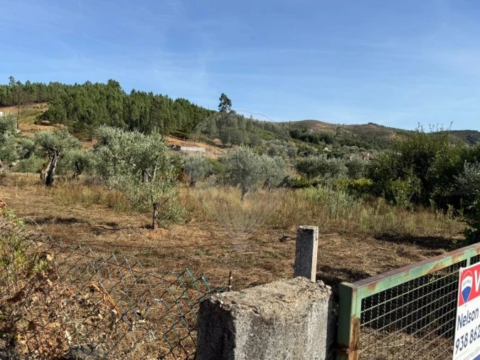Terreno para Venda em Janeiro de Cima e Bogas de Baixo Foto 10
