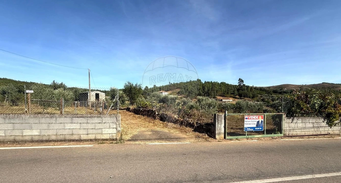 Terreno para Venda em Janeiro de Cima e Bogas de Baixo Foto 5