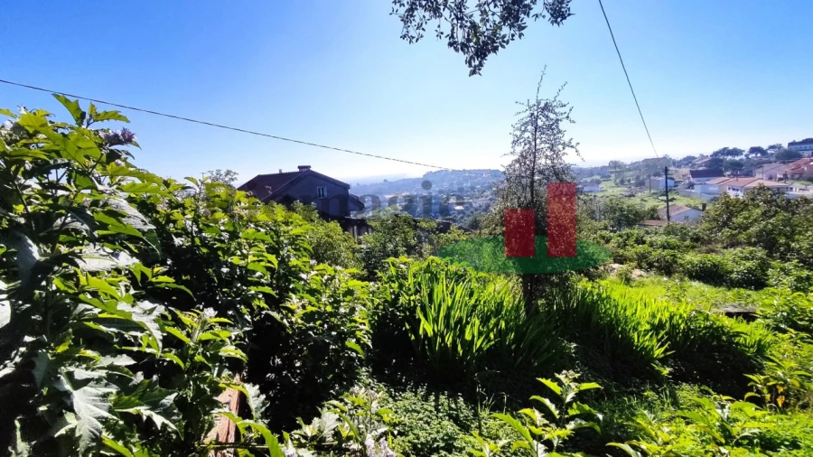 Moradia T3 para Venda em Praia do Ribatejo Foto 5