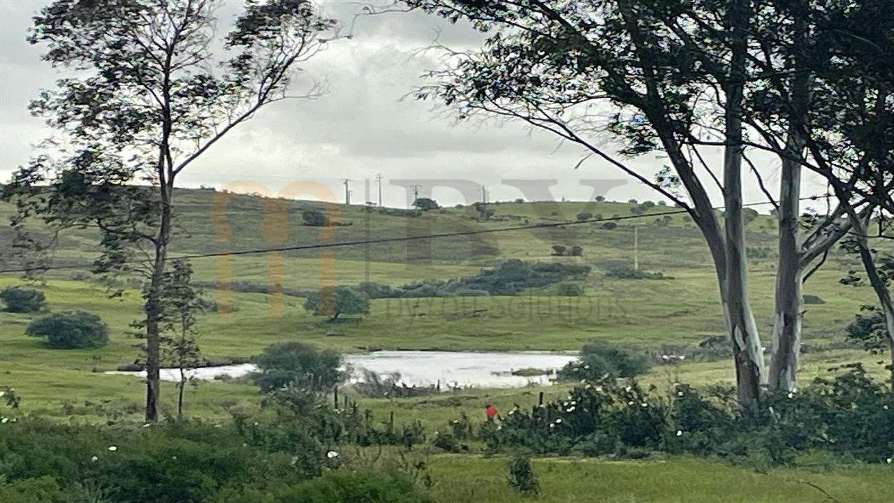 Terreno Agricola ou Rústico para Venda em Mertola Foto 13