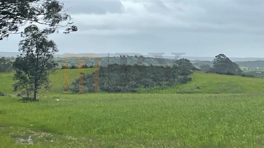 Terreno Agricola ou Rústico para Venda em Mertola Foto 7