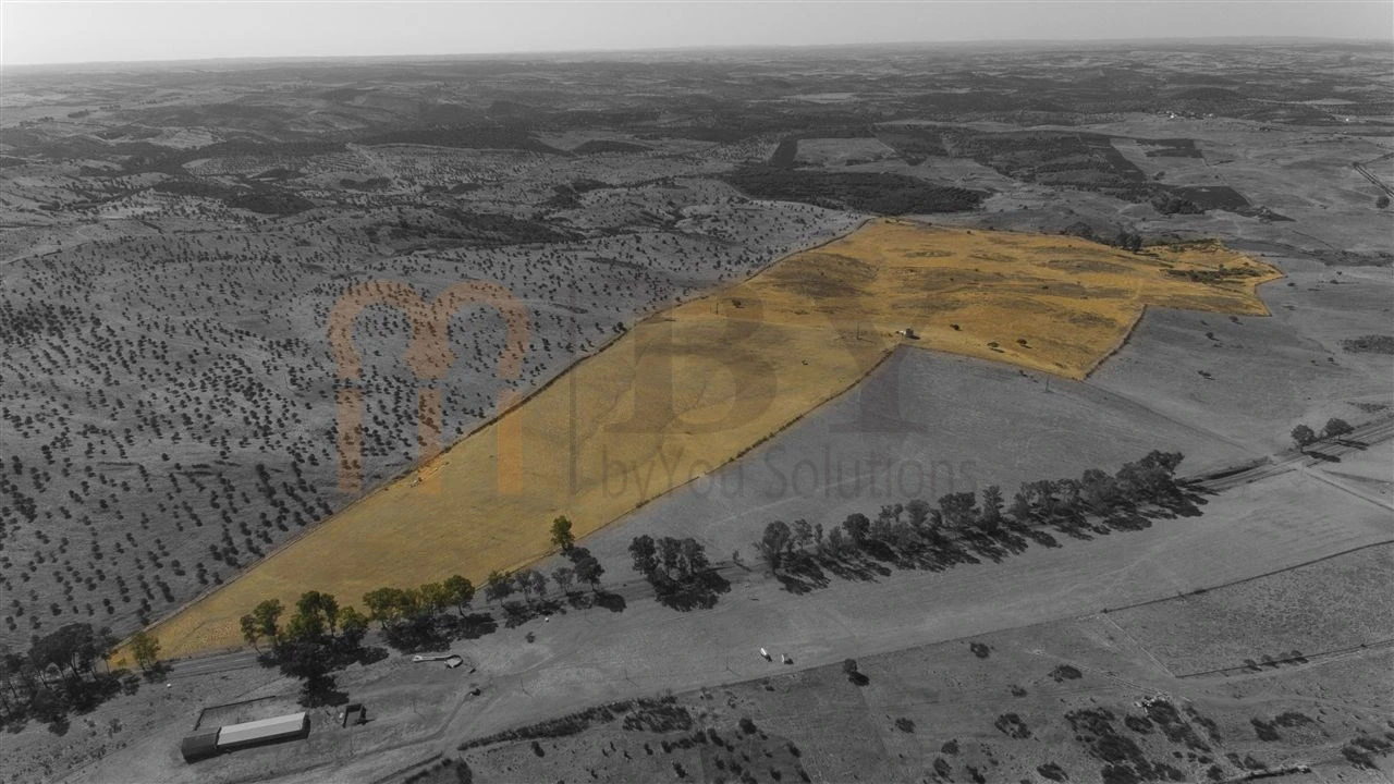 Terreno Agricola ou Rústico para Venda em Mertola Foto 3