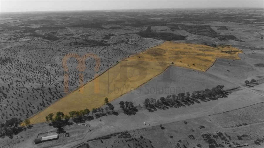 Terreno Agricola ou Rústico para Venda em Mertola Foto 3