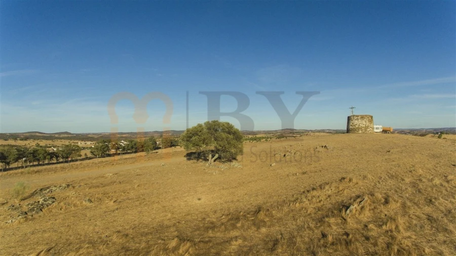 Terreno Agricola ou Rústico para Venda em Mertola Foto 8