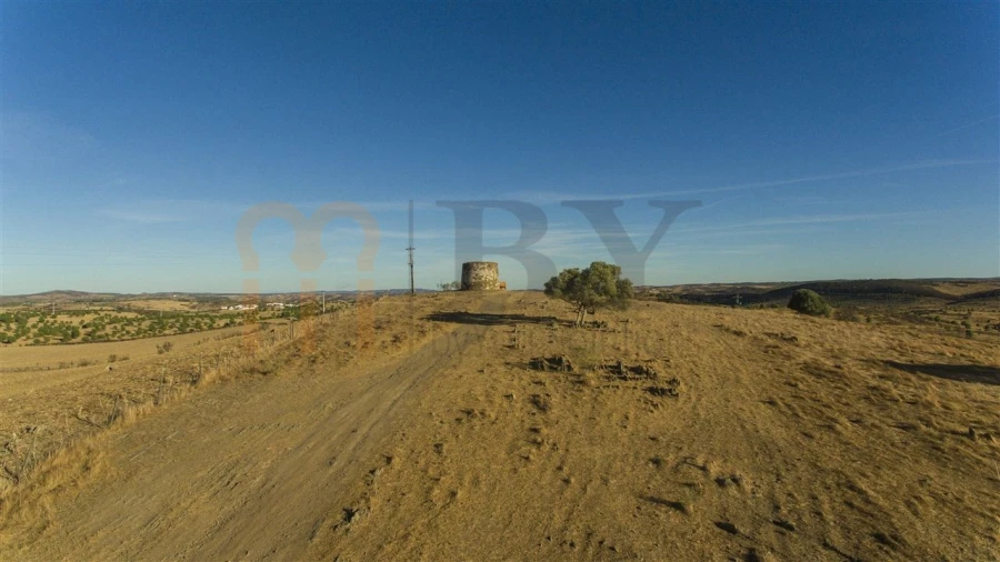 Terreno Agricola ou Rústico para Venda em Mertola Foto 9