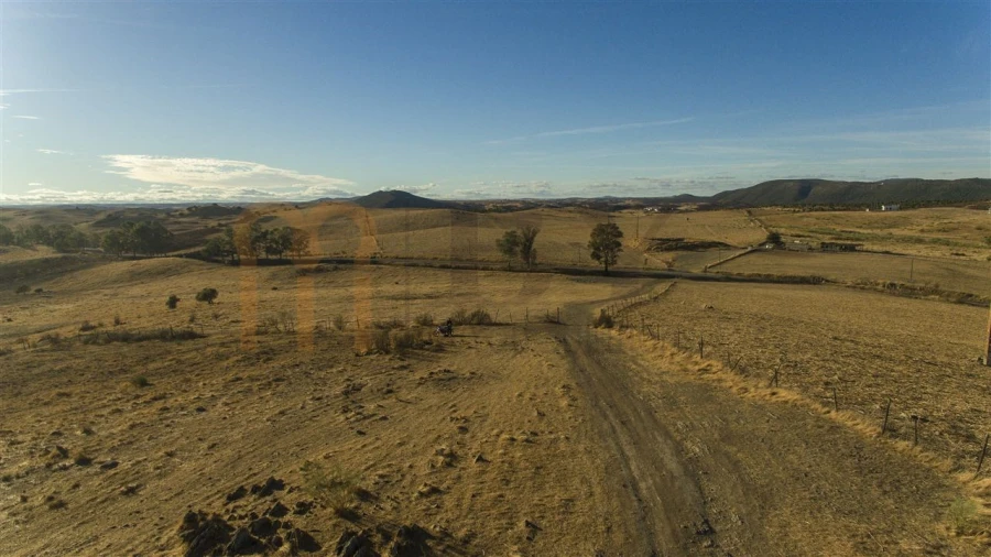 Terreno Agricola ou Rústico para Venda em Mertola Foto 13