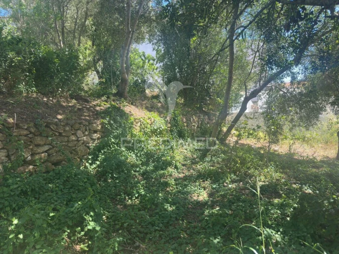 Terreno para Venda em Paderne Foto 15