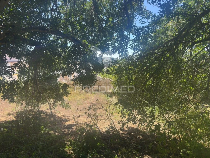 Terreno para Venda em Paderne Foto 14