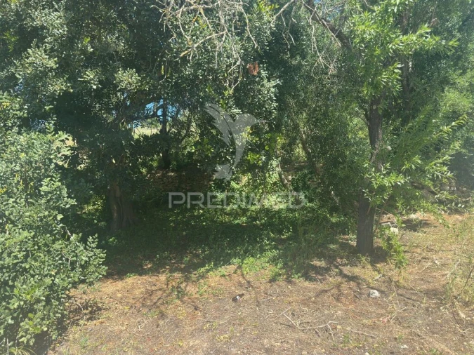 Terreno para Venda em Paderne Foto 16