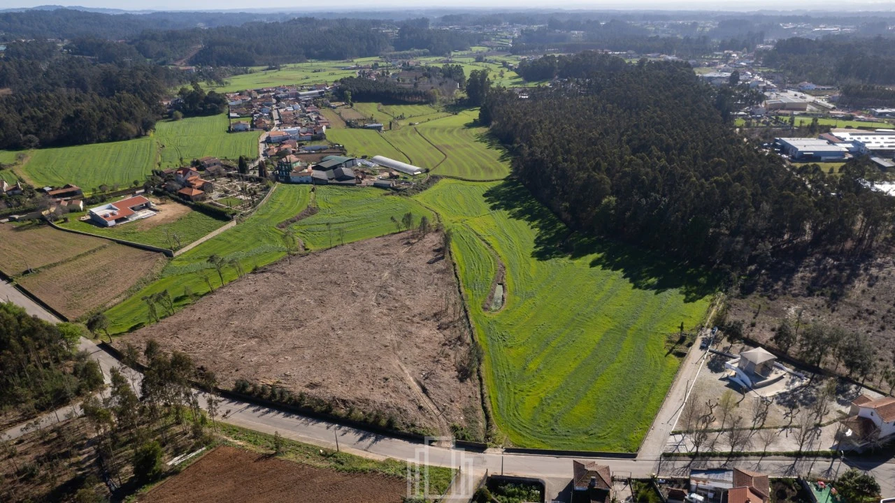 Terreno Agricola ou Rústico para Venda em Ovar, São João, Arada e São Vicente de Pereira Jusã Foto 2